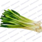 Cebolla de Rama Pelada Kilo - 500gr