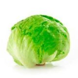 Lechuga Batavia Unidad