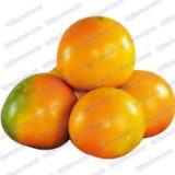 Lulo Extra Kilo - 500gr