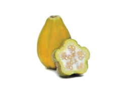 Calabaza Kilo