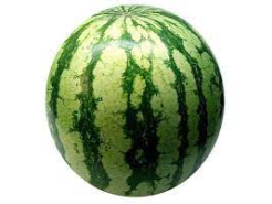 Sandia Kilo