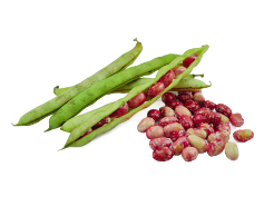 Frijol Verde Desgranado Kilo