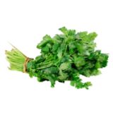 Cilantro Kilo - 500gr
