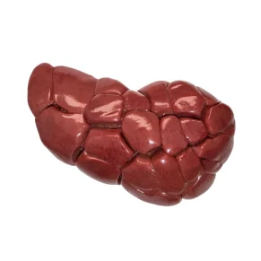 Riñon de Res Unidad