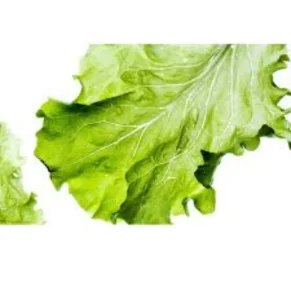 Lechuga Lisa Bolsa 250 g